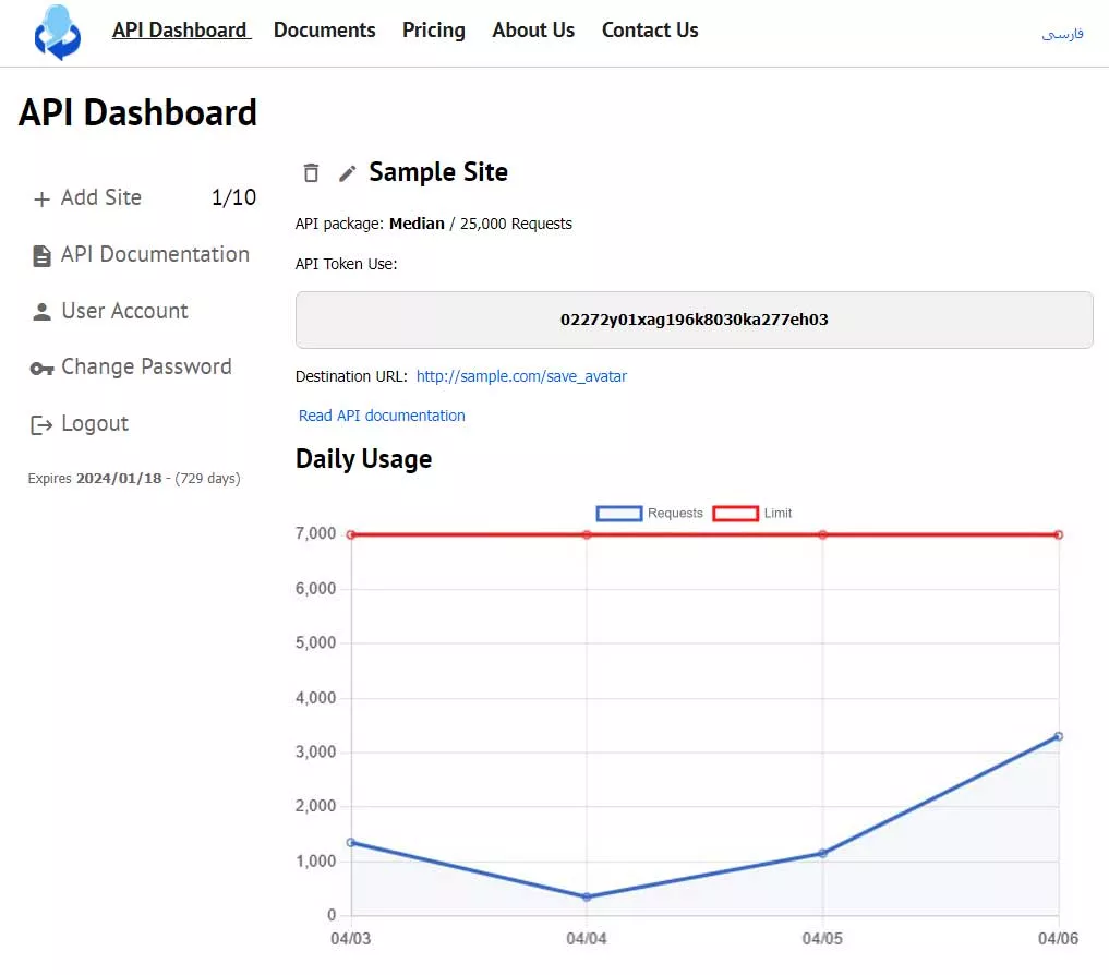 Figure 4 - Report page